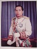 King Faisal II (218Wx288H) -  